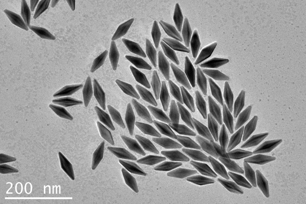 An electrochemical immunosensor for detecting Alzheimer's disease markers, its preparation method and application