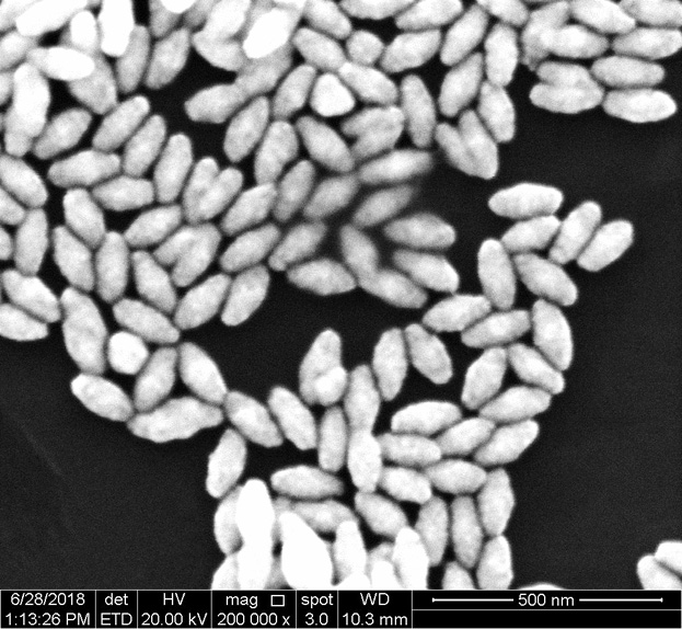 An electrochemical immunosensor for detecting Alzheimer's disease markers, its preparation method and application