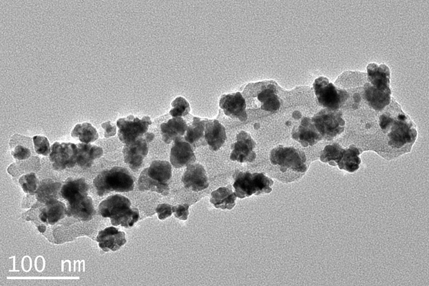 An electrochemical immunosensor for detecting Alzheimer's disease markers, its preparation method and application