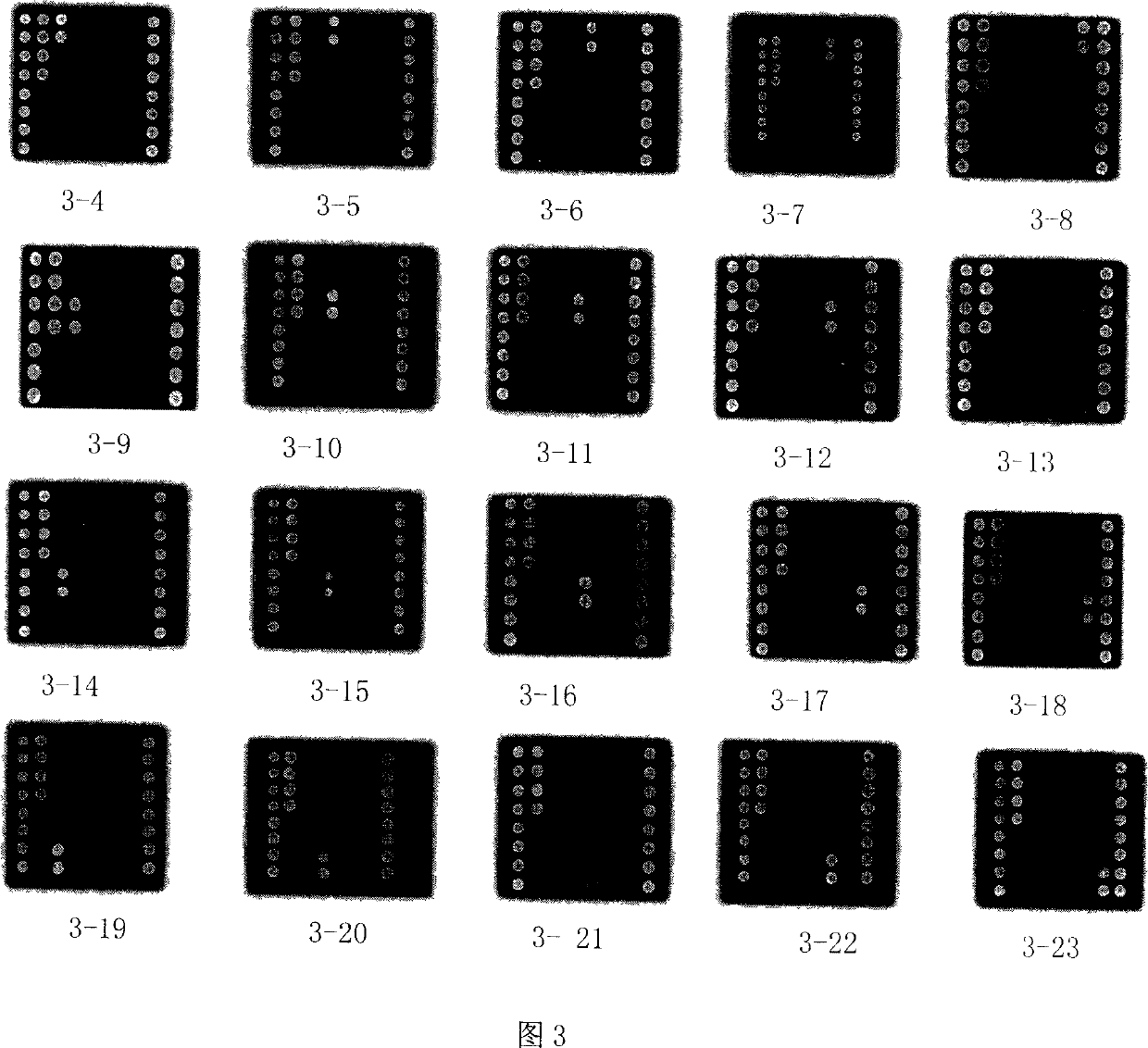 Biochip for detecting pathogenesis fungus