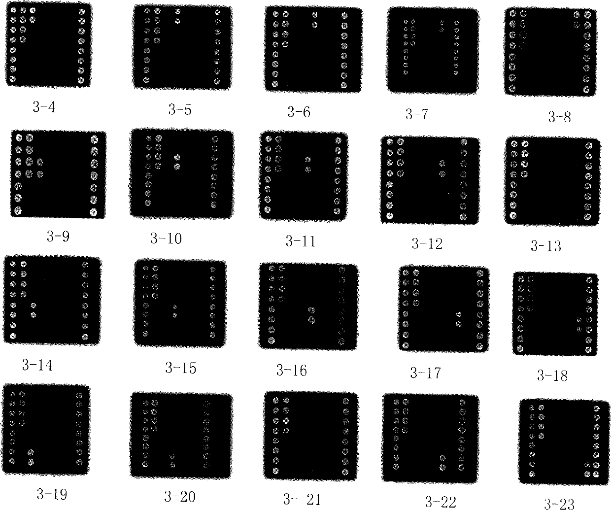 Biochip for detecting pathogenesis fungus