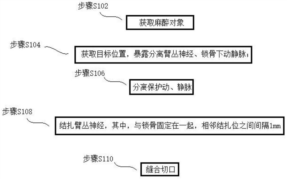 Method for establishing nerve root type cervical spondylosis animal model