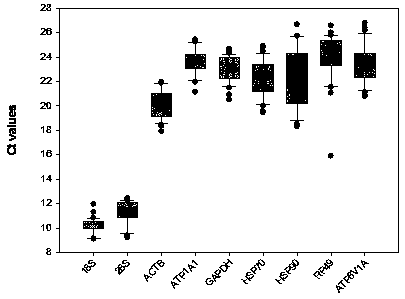 Stably expressed reference gene group of harmonia axyridis with different factors and application of reference gene group