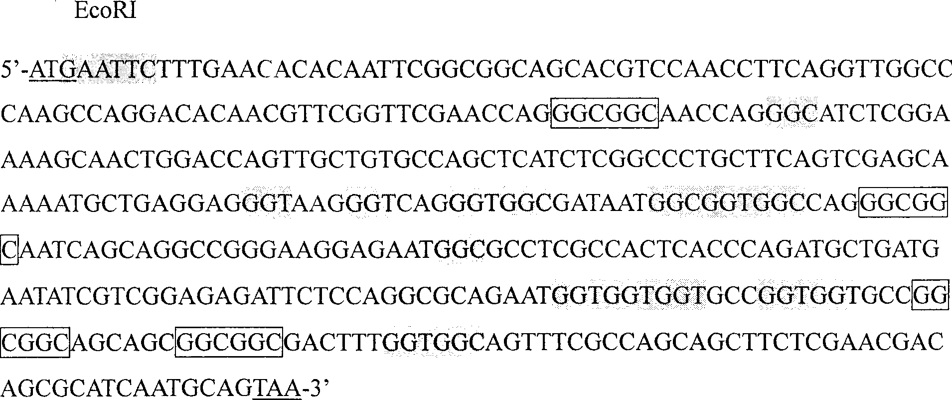 Wheat hpfw gene, expression production and uses thereof