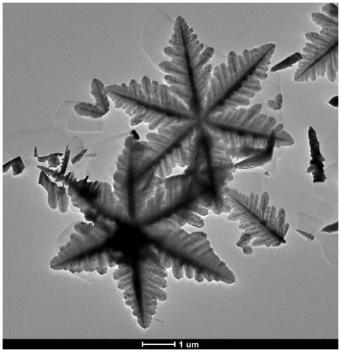 CdS nano-snowflake photocatalyst as well as preparation method and application thereof