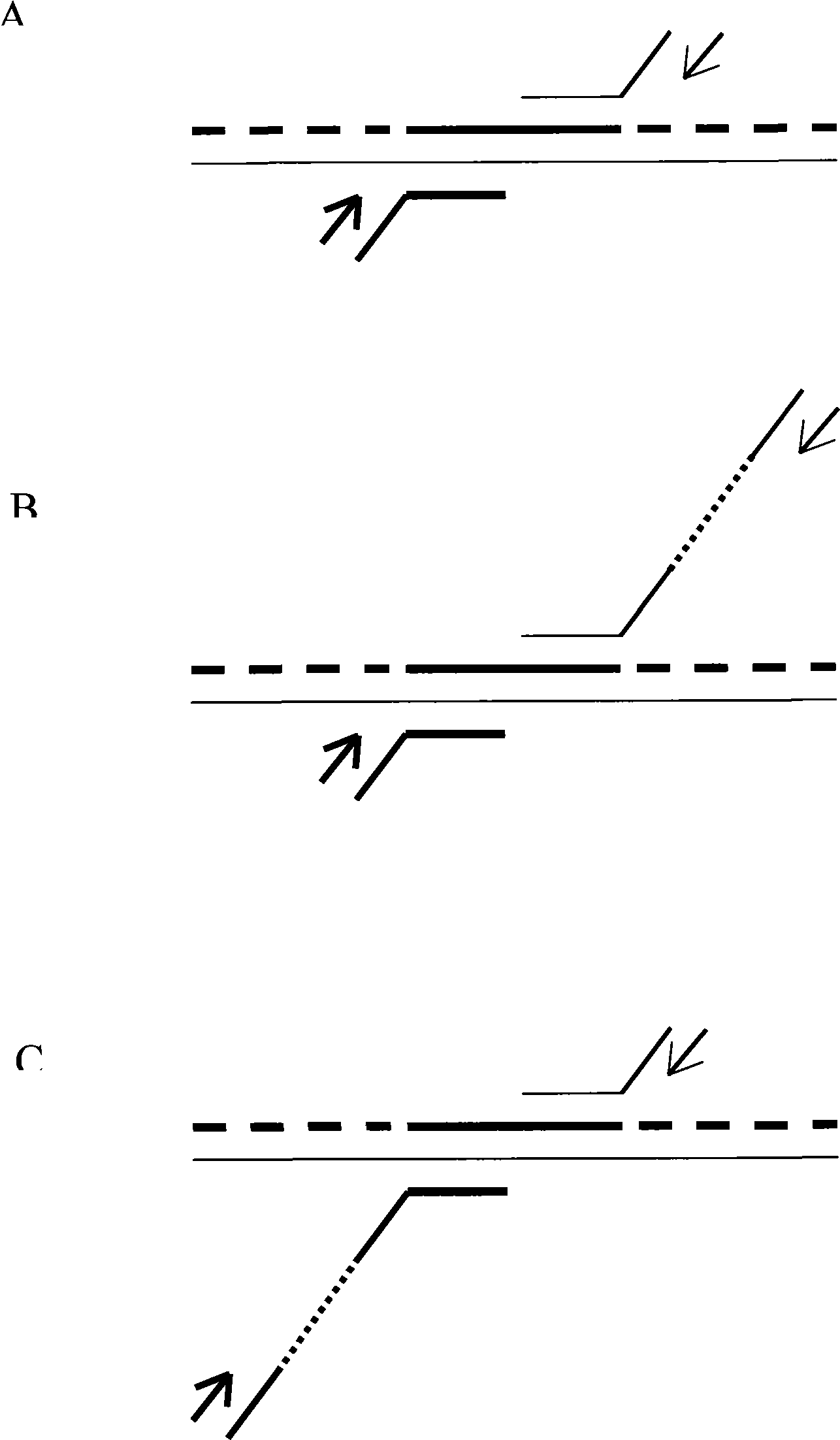 System displacement multiple gene magnification technology