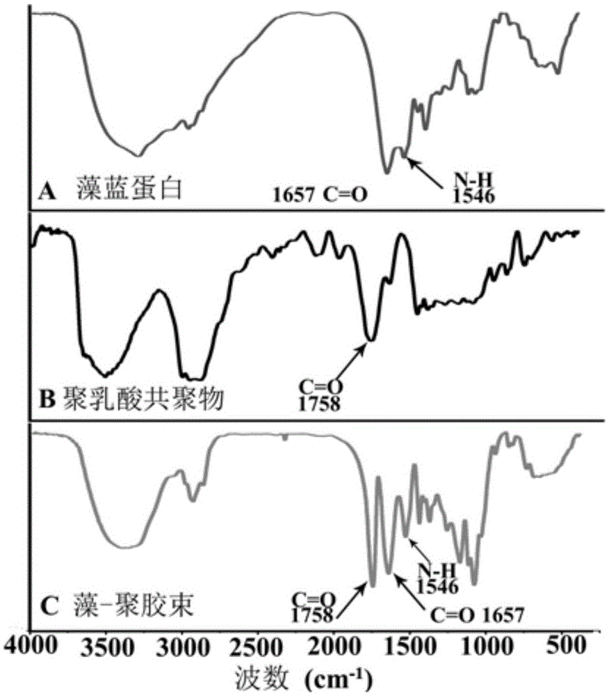 Cerebral cancer suppressing phycocyanin-polylactic acid-adriamycin micelle and preparation method and application thereof