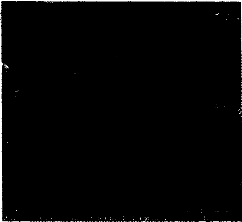 Method for preparing fine-grain low silica/alumina ratio X zeolite