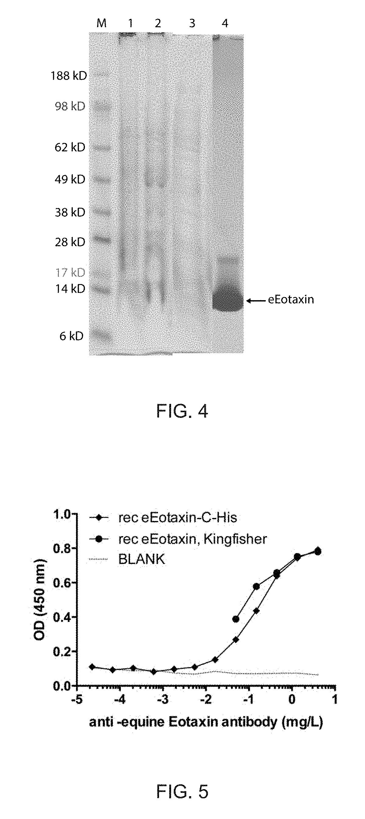 Treatment of insect bite hypersensitivity