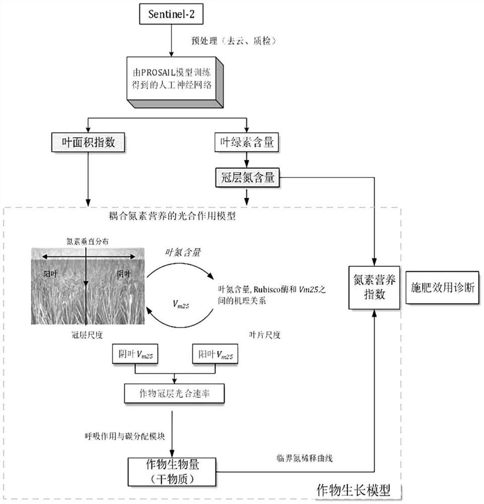 A diagnostic simulation method for crop growth and fertilization coupled with remote sensing nitrogen information