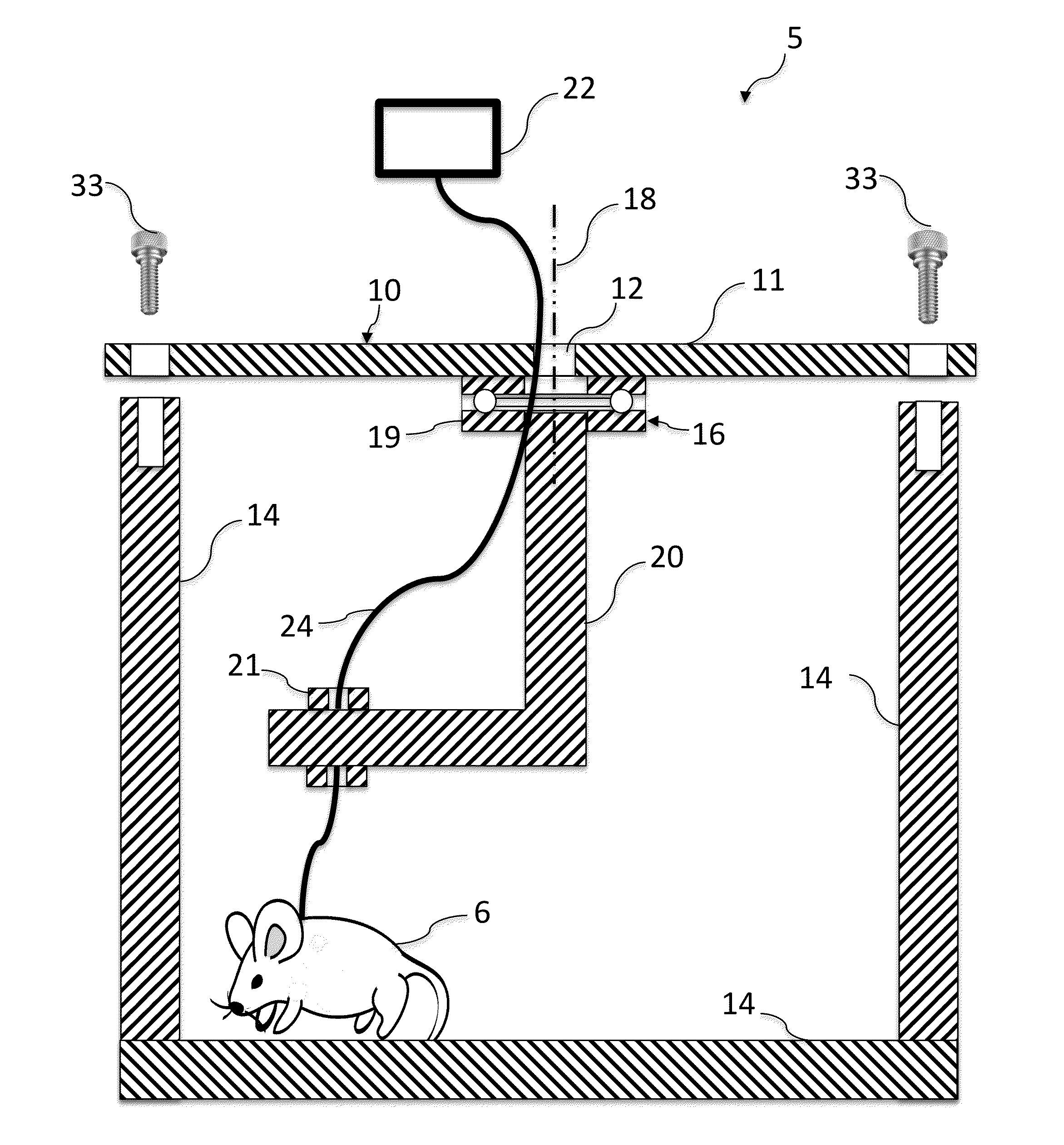 System for providing an interface for interacting with a laboratory animal