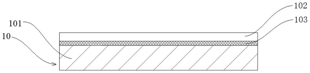 A positive pole piece and electrochemical device