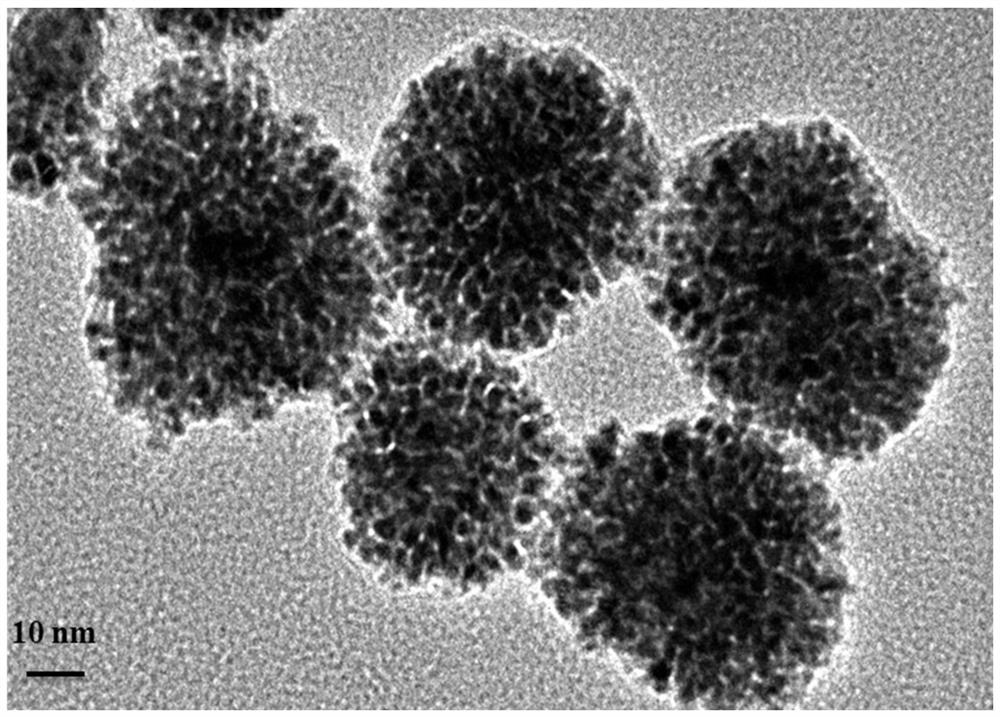 Method for detecting escherichia coli O157: H7 based on core-shell gold-platinum nanocluster