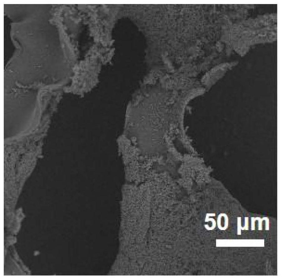 A kind of imitation leaf porous film composite ppy/pva sponge and its preparation method and application