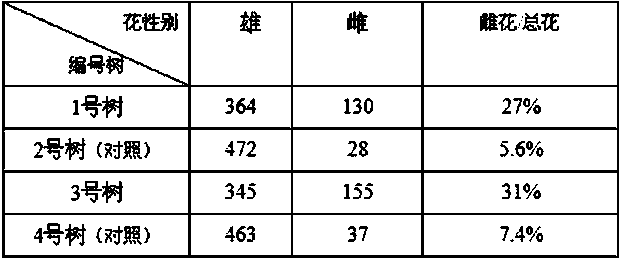 Application method for promoting female flower differentiation of lichi trees