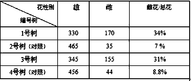 Application method for promoting female flower differentiation of lichi trees