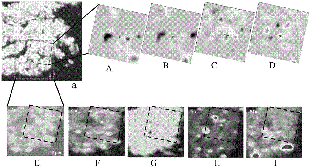 An in situ visual analysis method for organic brominated compounds in soil