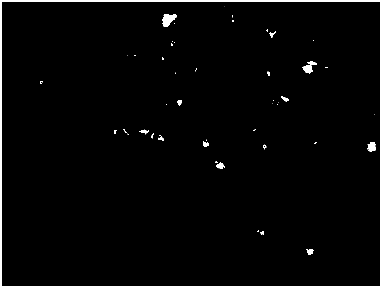 Refining and crystallization method of sugammadex sodium