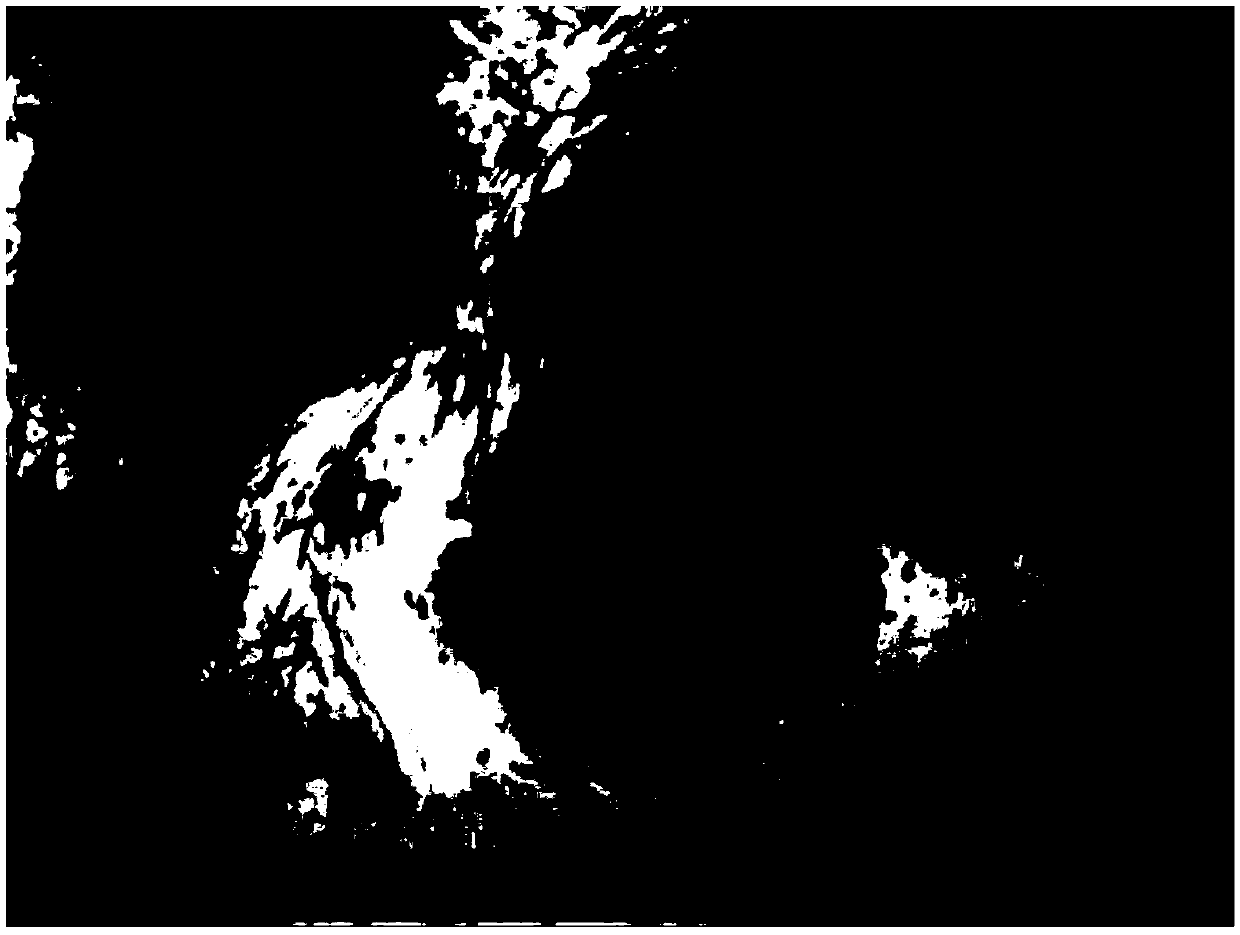 Refining and crystallization method of sugammadex sodium