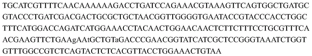 Engineering strain for biologically producing ferulic acid and establishing method of engineering strain