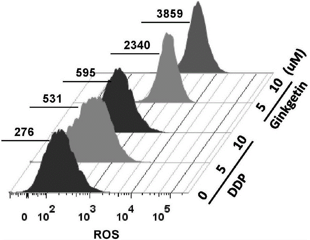 Novel application of ginkgetin