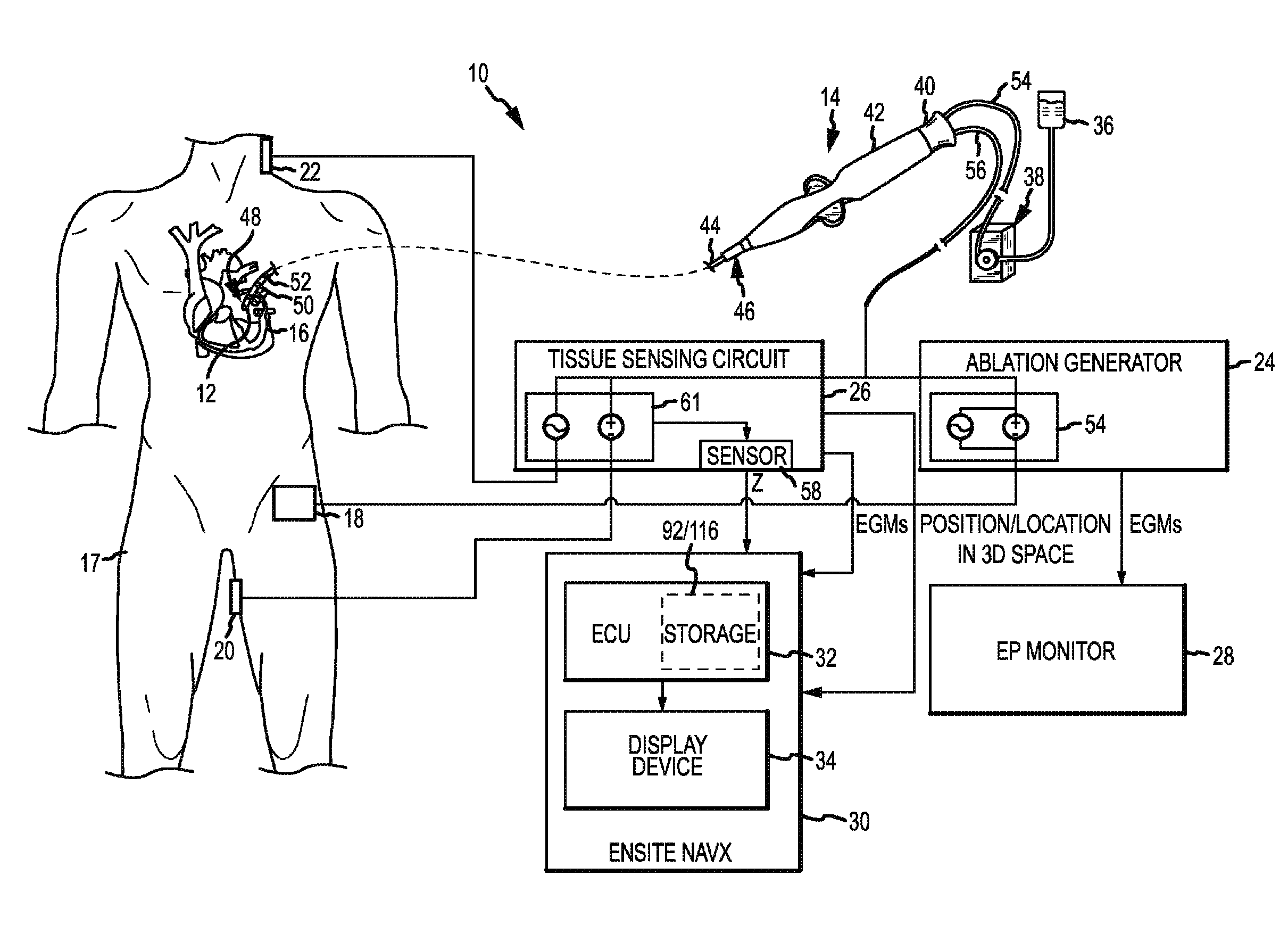 System and method for assessing lesions in tissue