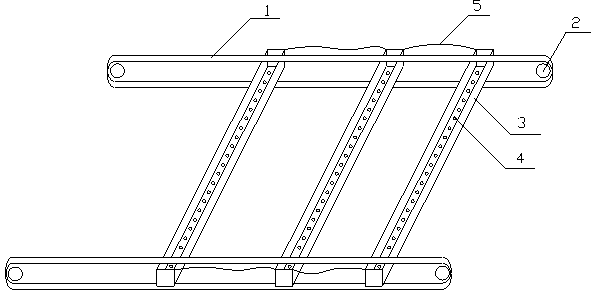 Fish feeding device for freshwater fish pond