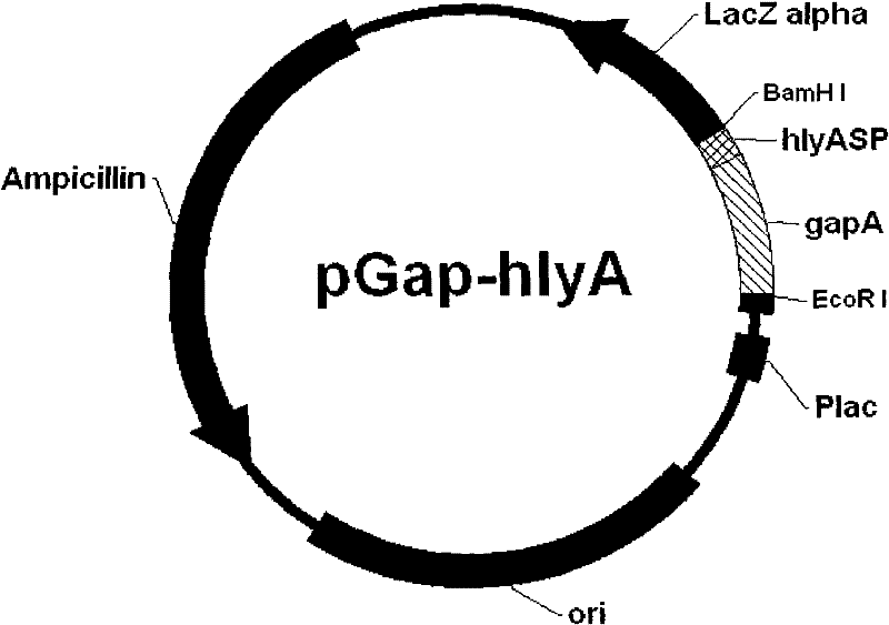 Multi-titer live vaccine as well as preparation method and application thereof