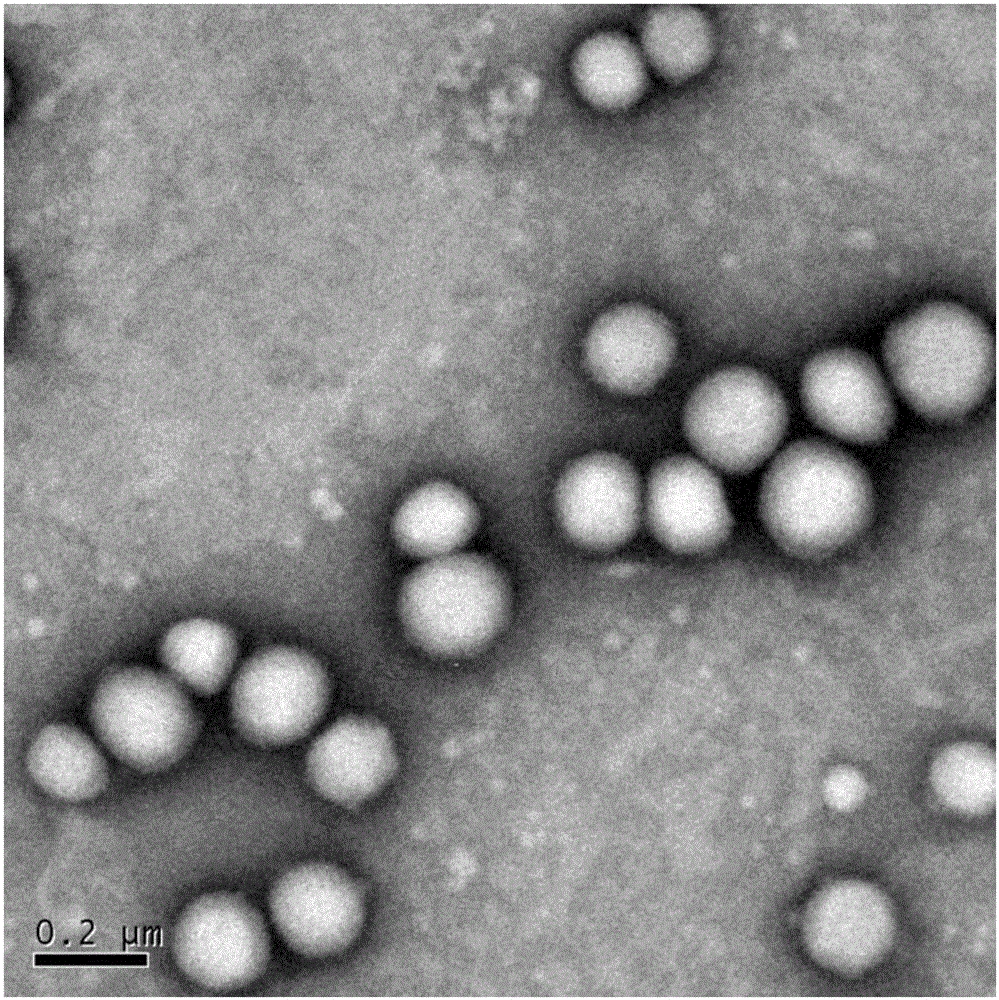 Slow-release nano drug carrier as well as preparation method and application thereof