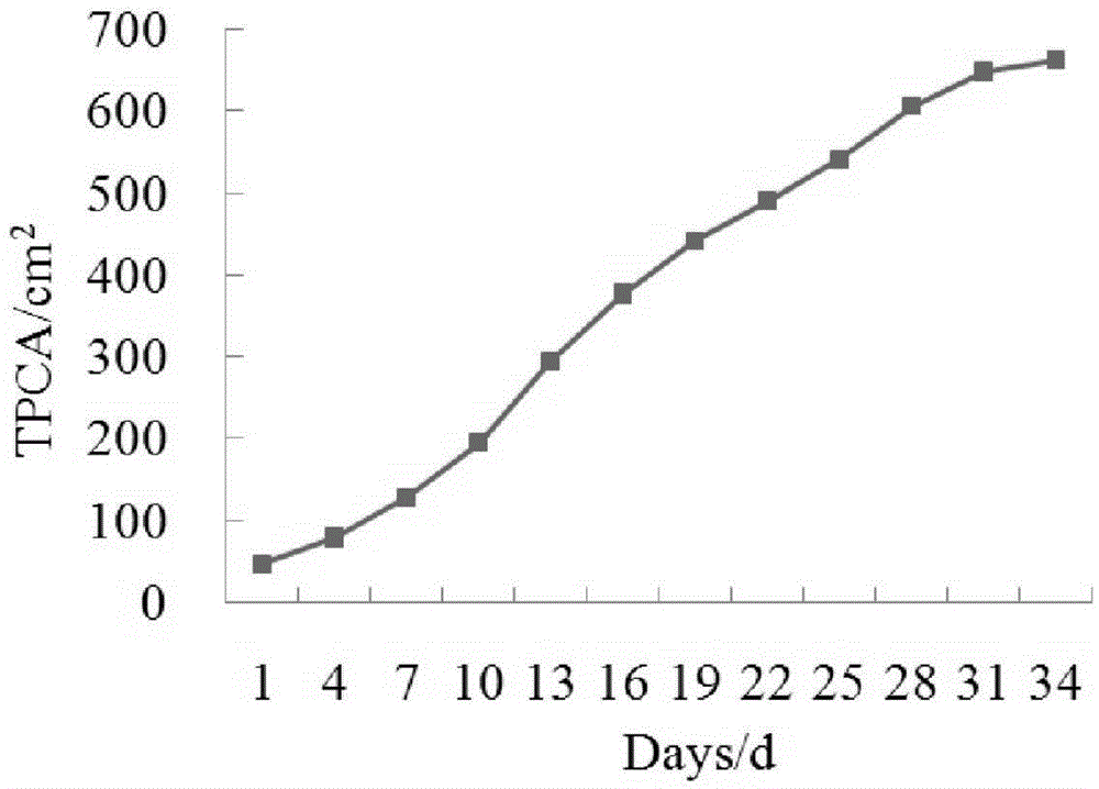 Method of conducting variable rate fertilization according to growth status of leaf vegetables