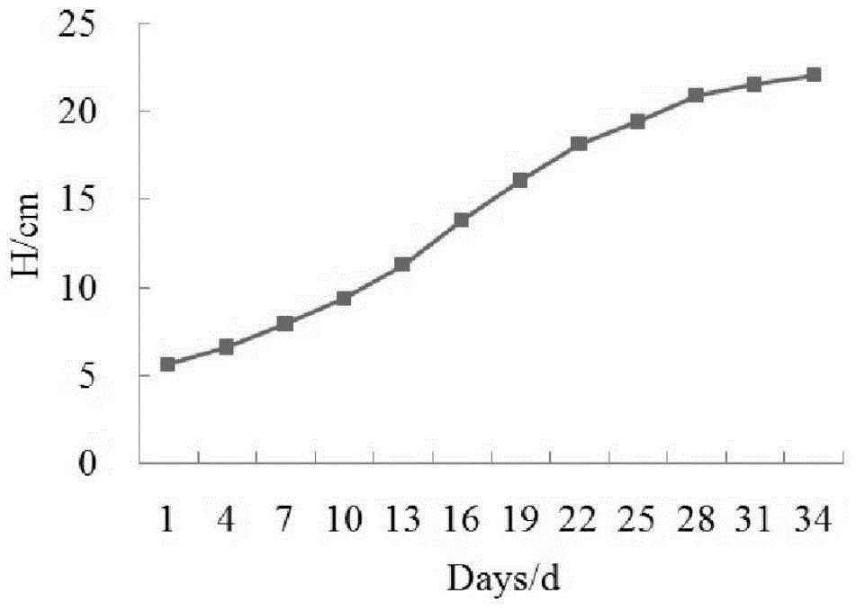 Method of conducting variable rate fertilization according to growth status of leaf vegetables