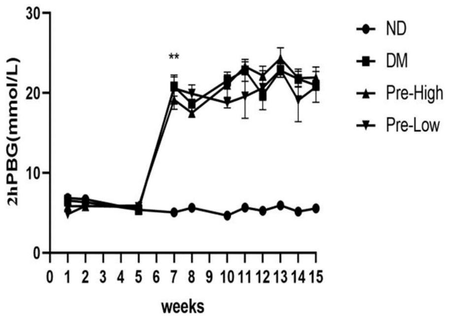 Probiotic composition for preventing type II diabetes as well as preparation method and application thereof