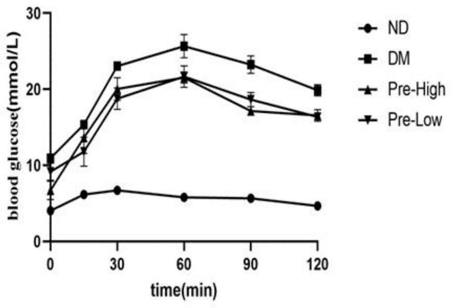 Probiotic composition for preventing type II diabetes as well as preparation method and application thereof