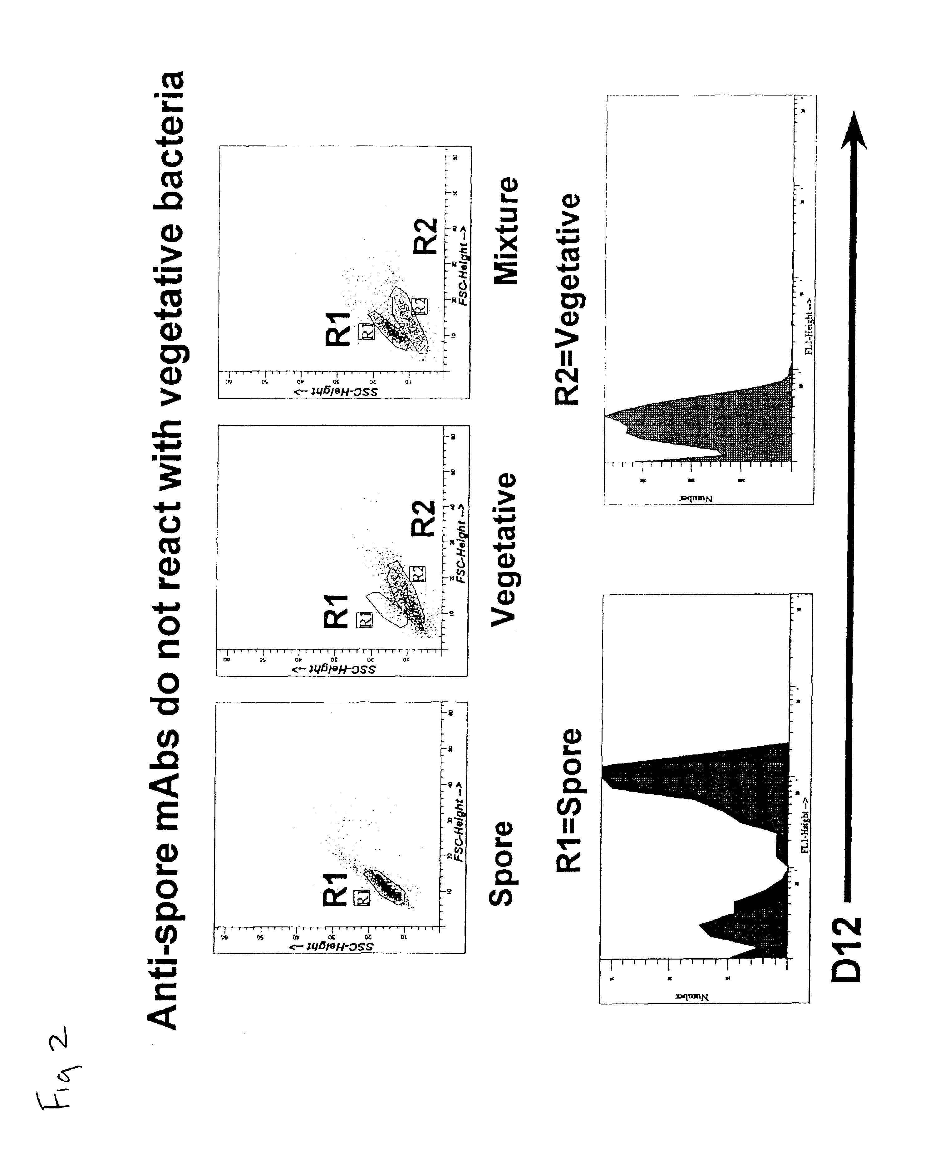 Monoclonal antibodies specific for anthrax and peptides derived from the antibodies thereof