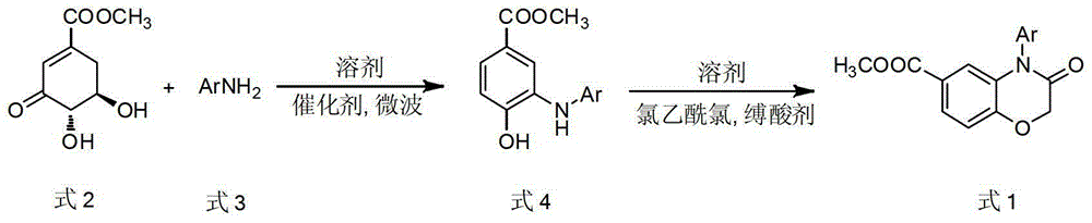 Method for preparing 4-aryl-6-methoxy carbonyl benzoxazinone compound