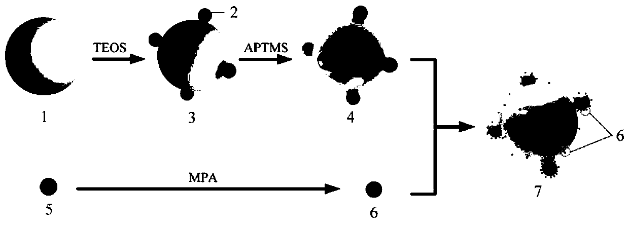 Fluorescent powder quantum dot composite particles as well as preparation method and application thereof