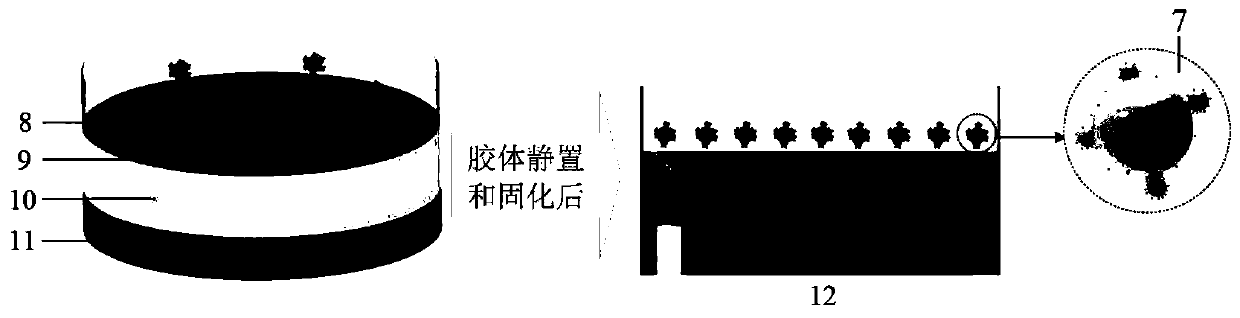 Fluorescent powder quantum dot composite particles as well as preparation method and application thereof