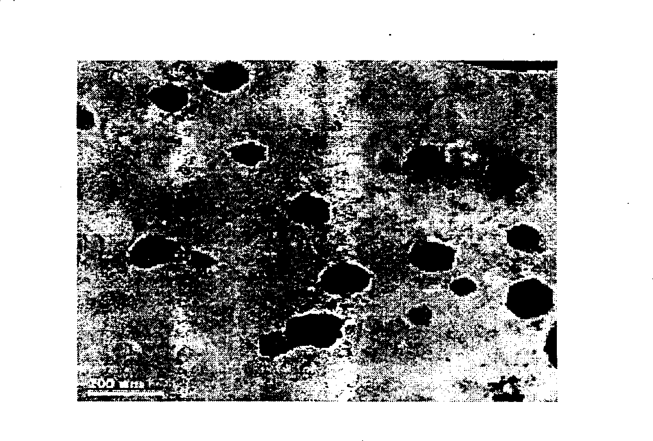 Nano pork essence and preparation method thereof