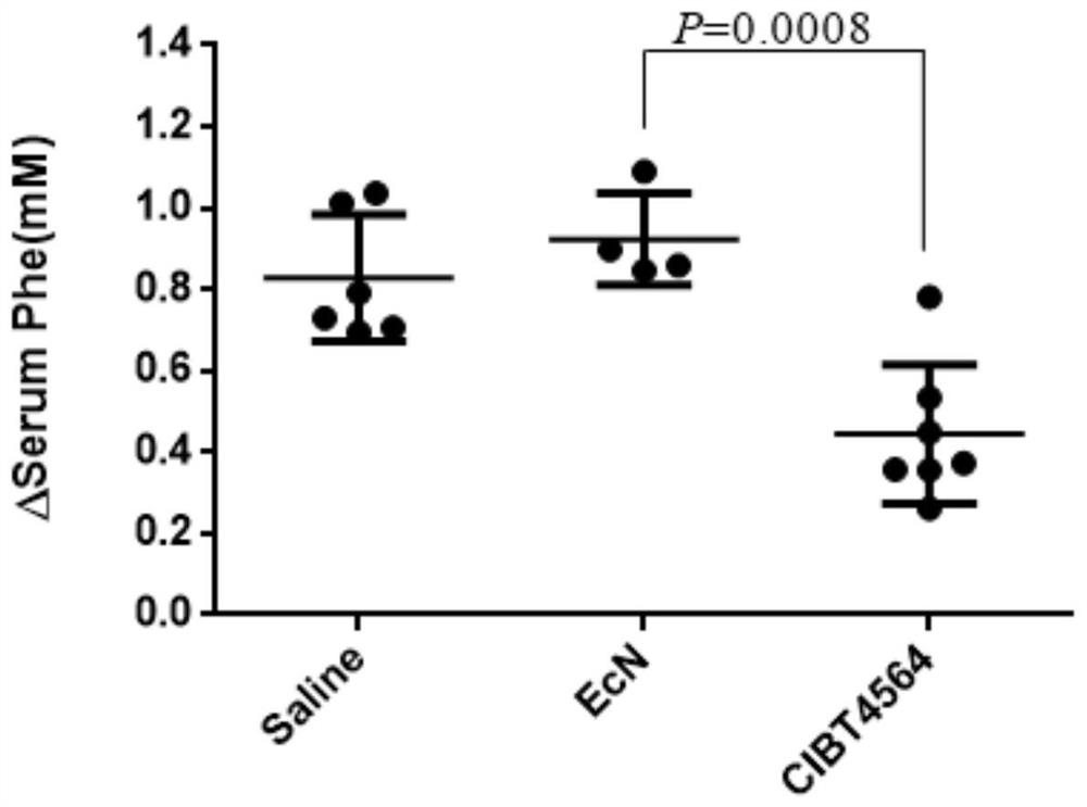 Engineering probiotics for treating phenylketonuria