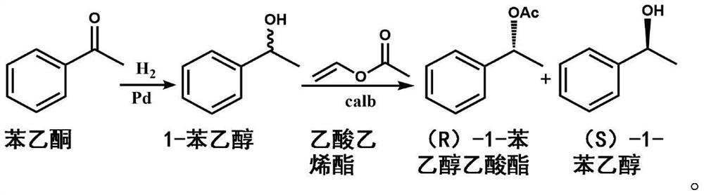 Millimeter ball catalyst for one-step synthesis of chiral alcohol and chiral ester from acetophenone