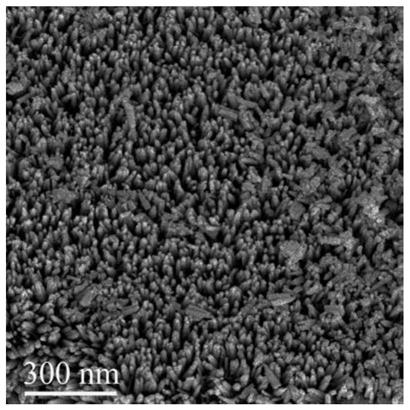 a nb  <sub>3</sub> o  <sub>7</sub> Preparation method of f nanoarray/graphene heterojunction composite material