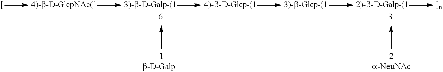 Method of immunization using a Group B Streptococcus type II and type III polysaccharide conjugate vaccine