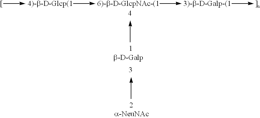 Method of immunization using a Group B Streptococcus type II and type III polysaccharide conjugate vaccine