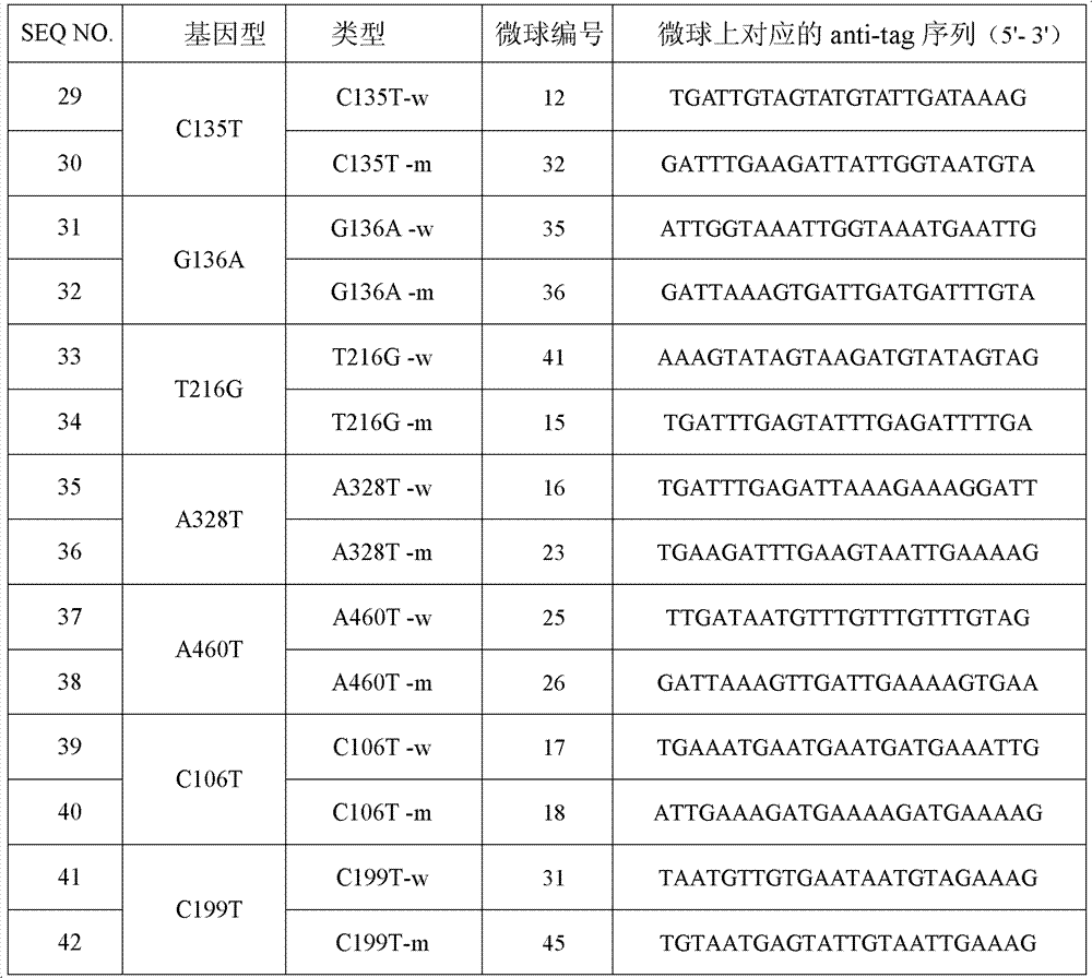 Specific primer and liquid chip for detecting polymorphism of NAT1 (N-acetyltransferase 1) gene