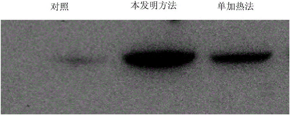 Preparation method of tumor immune antigen, and products and application of preparation method