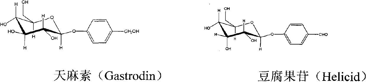 Application of 2-fluroin-beta-D-glycoside in treating neuropathic pain