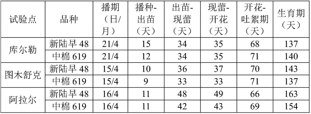 Cultivation method of southern XinJiang film-free cotton