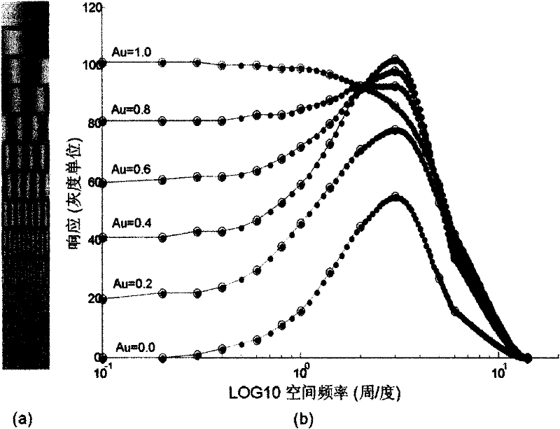 Image denoising method based on visual non-classical receptive field model