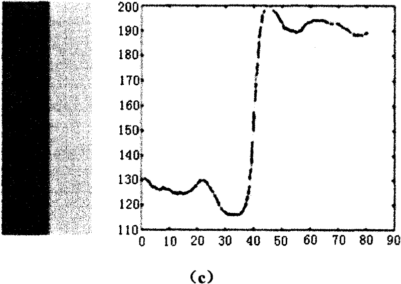 Image denoising method based on visual non-classical receptive field model