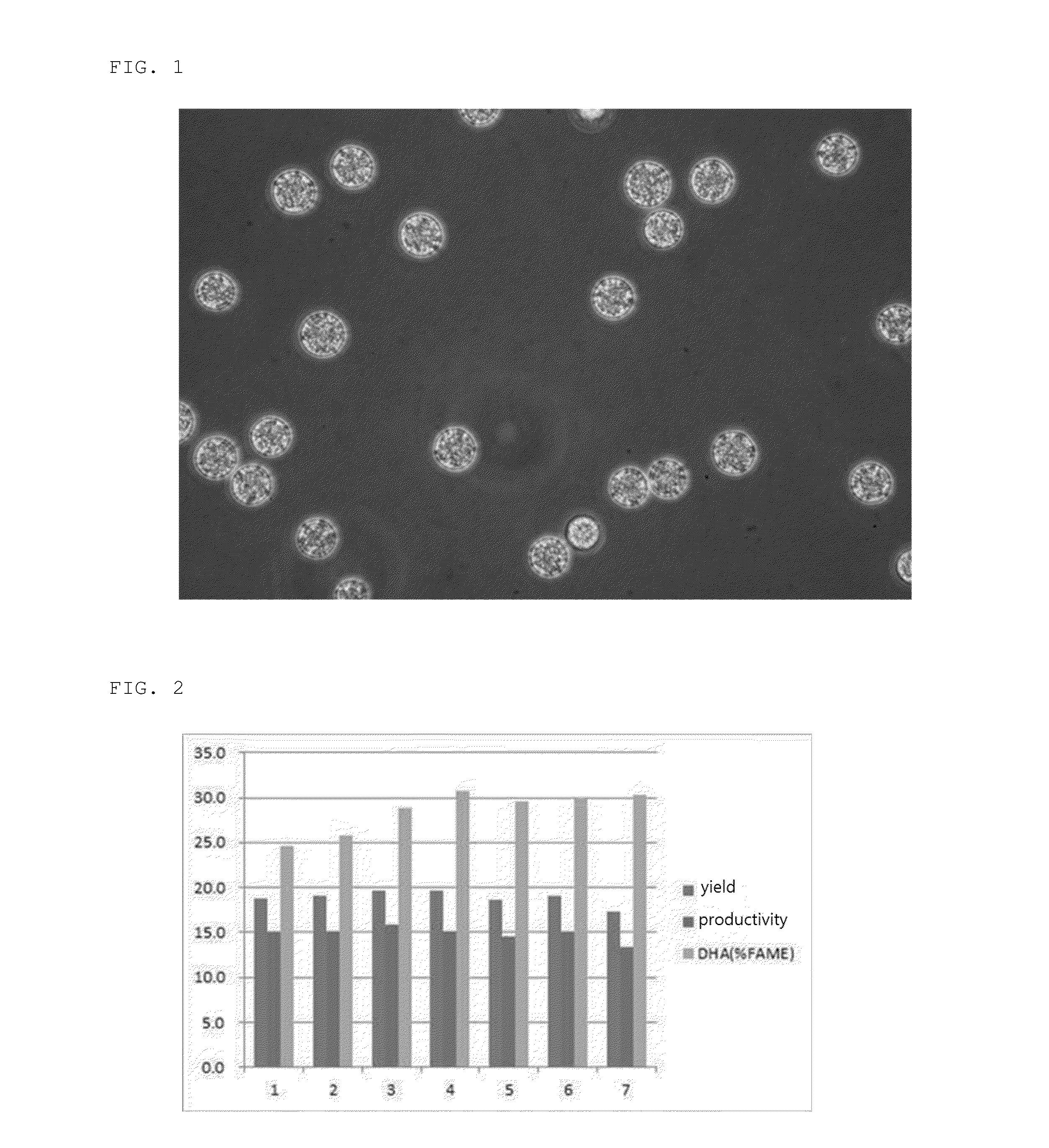 Microalgae Aurantiochytrium sp. LA3 (KCTC12685BP) and Method for Preparing Bio-Oil Using the Same